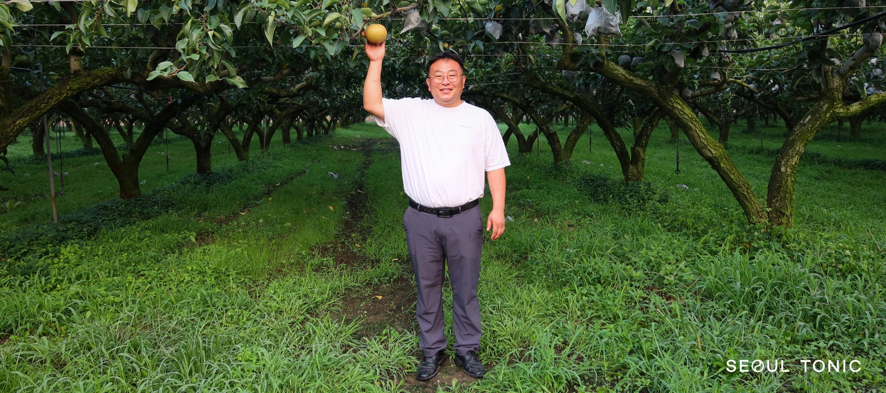 Meet Mr. Park: The 3rd-Gen Korean Pear Master Behind Seoul Tonic